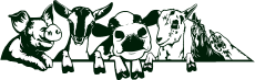 Image of farm animals